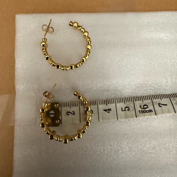 Elegant Gold Hoop Earrings - Picture 1 of 2